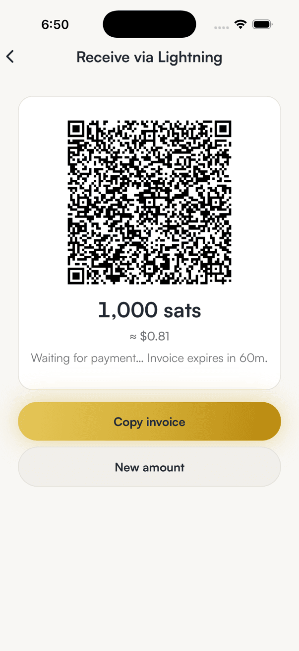 A Lightning invoice QR code for 1,000 sats, about 0.81 dollars, marked Waiting for payment with the invoice expiring in 60 minutes, and Copy invoice and New amount buttons