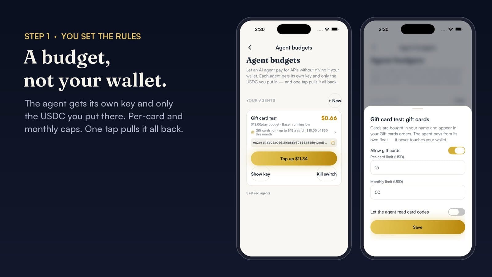 Agent budgets screen with a per-card limit of 15 dollars, a monthly limit of 50 dollars, and card codes hidden from the agent