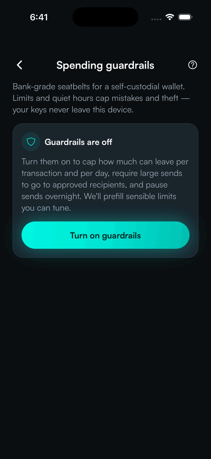 SpendTheBits daily spending limit and guardrails setup screen